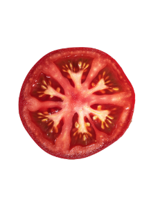 salado-tomato